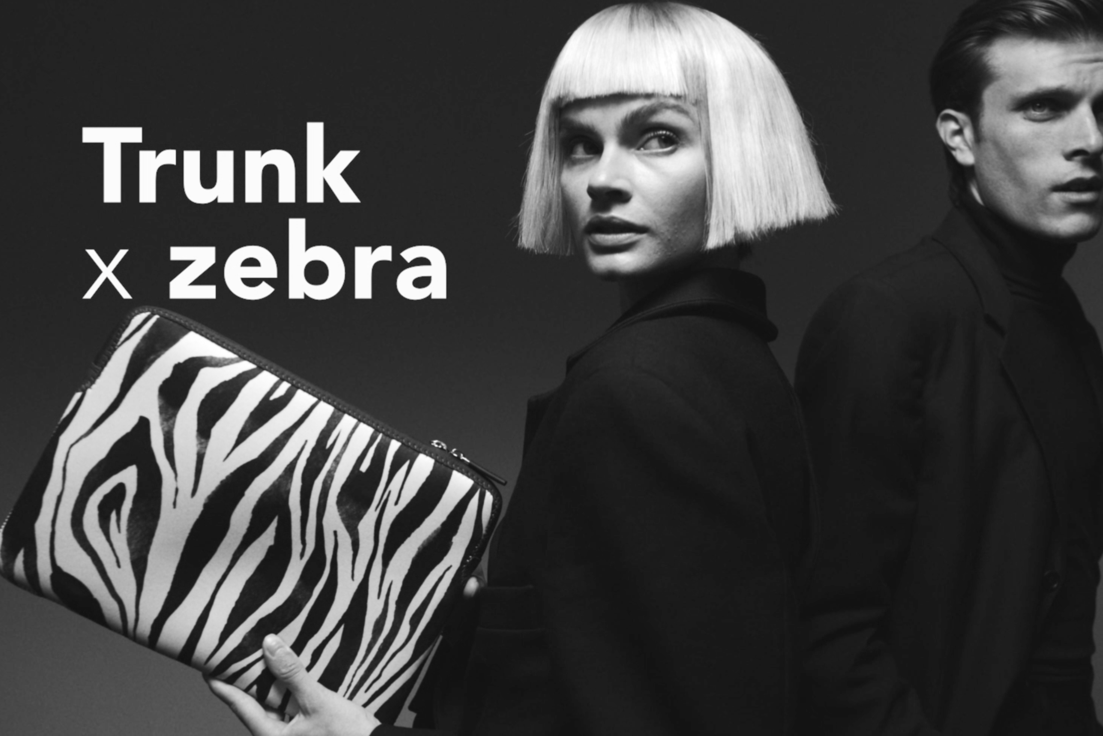 TRUNK x Zebra - Videokoncept